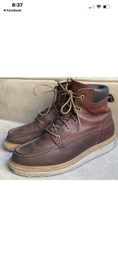Red wing irish setter - irish, ashby